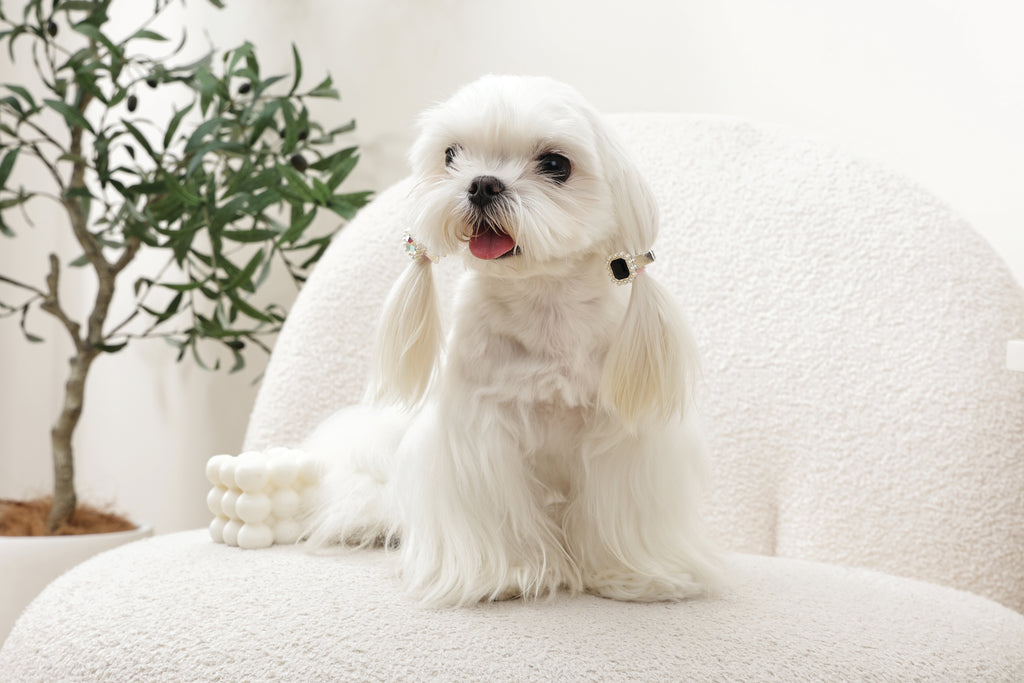 GLAM Hair Accessories for pets diamond shape clip - Black & Silver