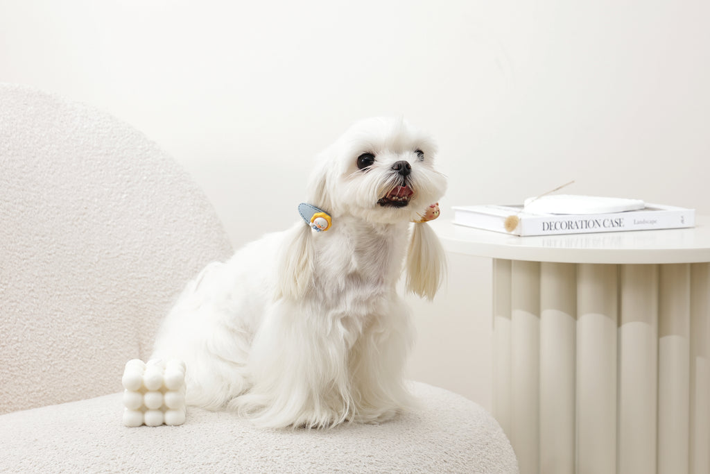 GLAM Hair Accessories for pets clip - Yellow