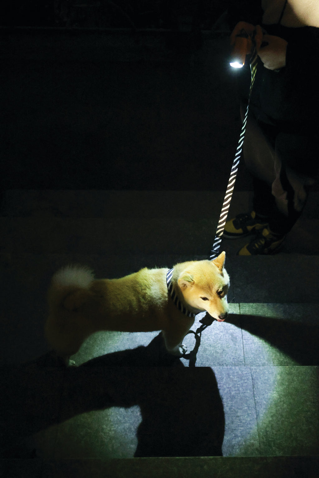 FLASH LED Poop Torch Orange