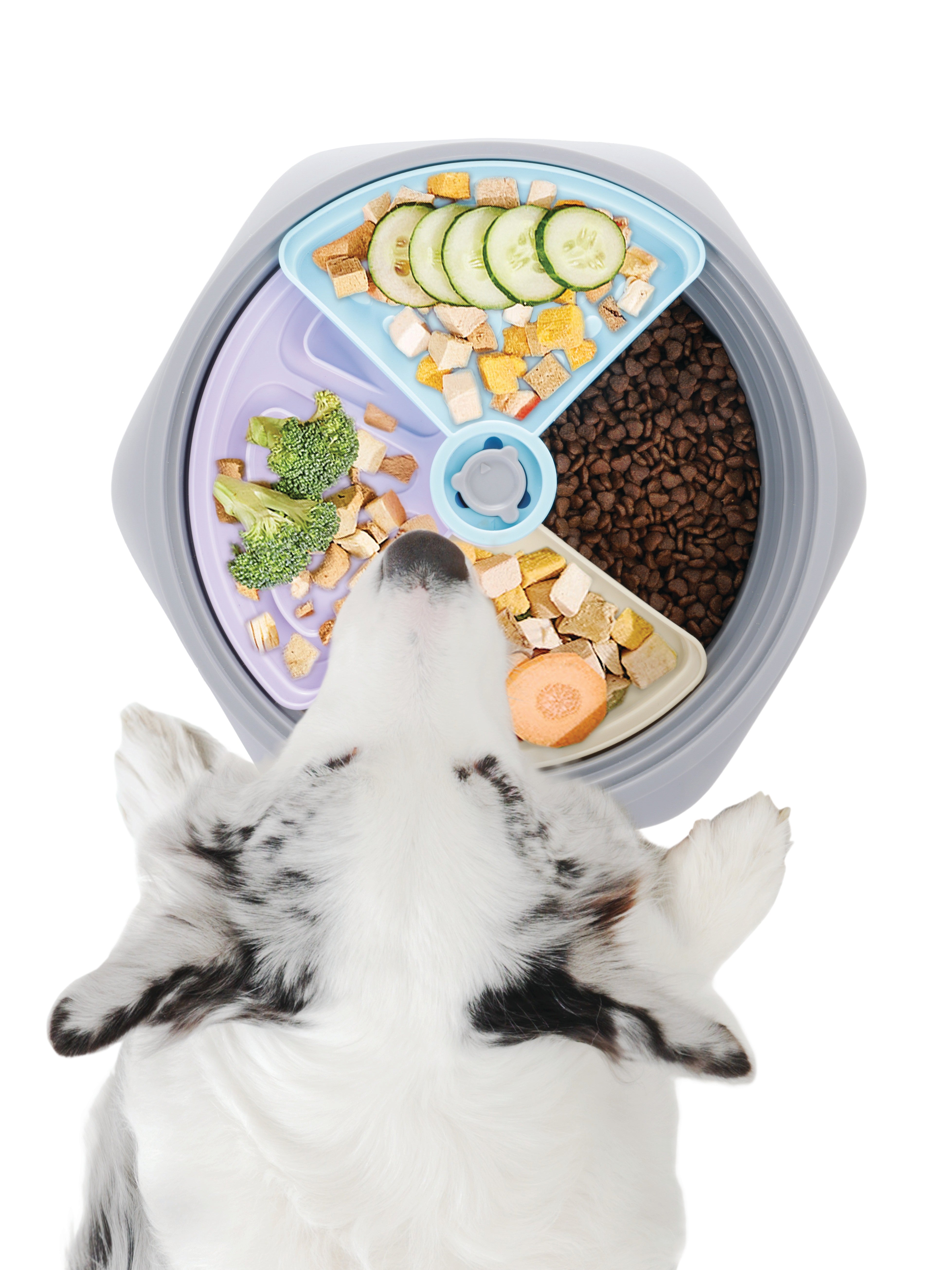 LEVEL UP Slow feeder bowl – M-PETS
