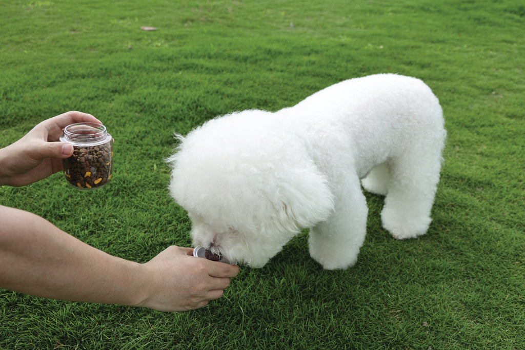 ON THE ROAD Dog water bottle 600 ml - 3 in 1 - Pink bloom