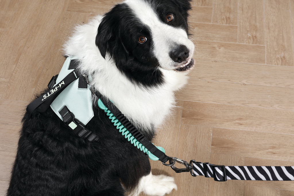 ORIGAMI Dog Harness leafy crease