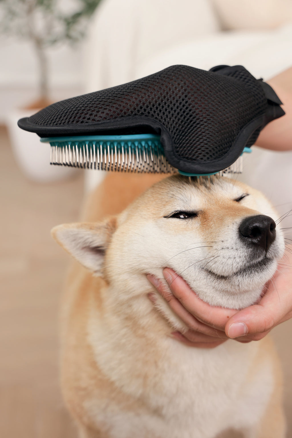 HAIRDO Grooming glove comb