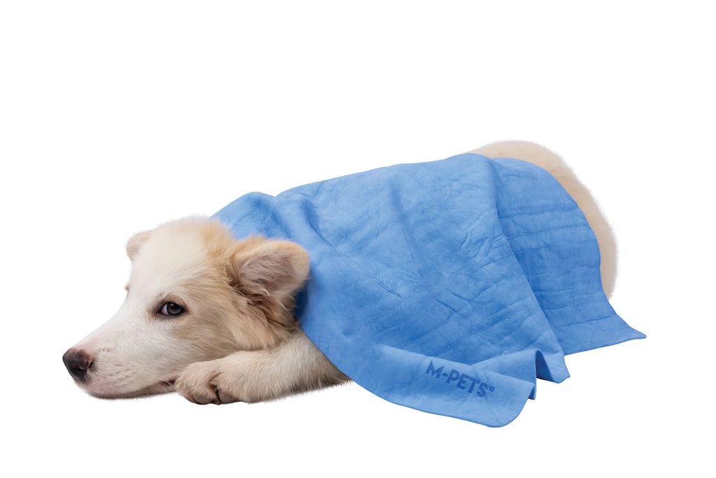 BATHTIME Quick-dry Towel for Cats and Dogs Blue Bubble
