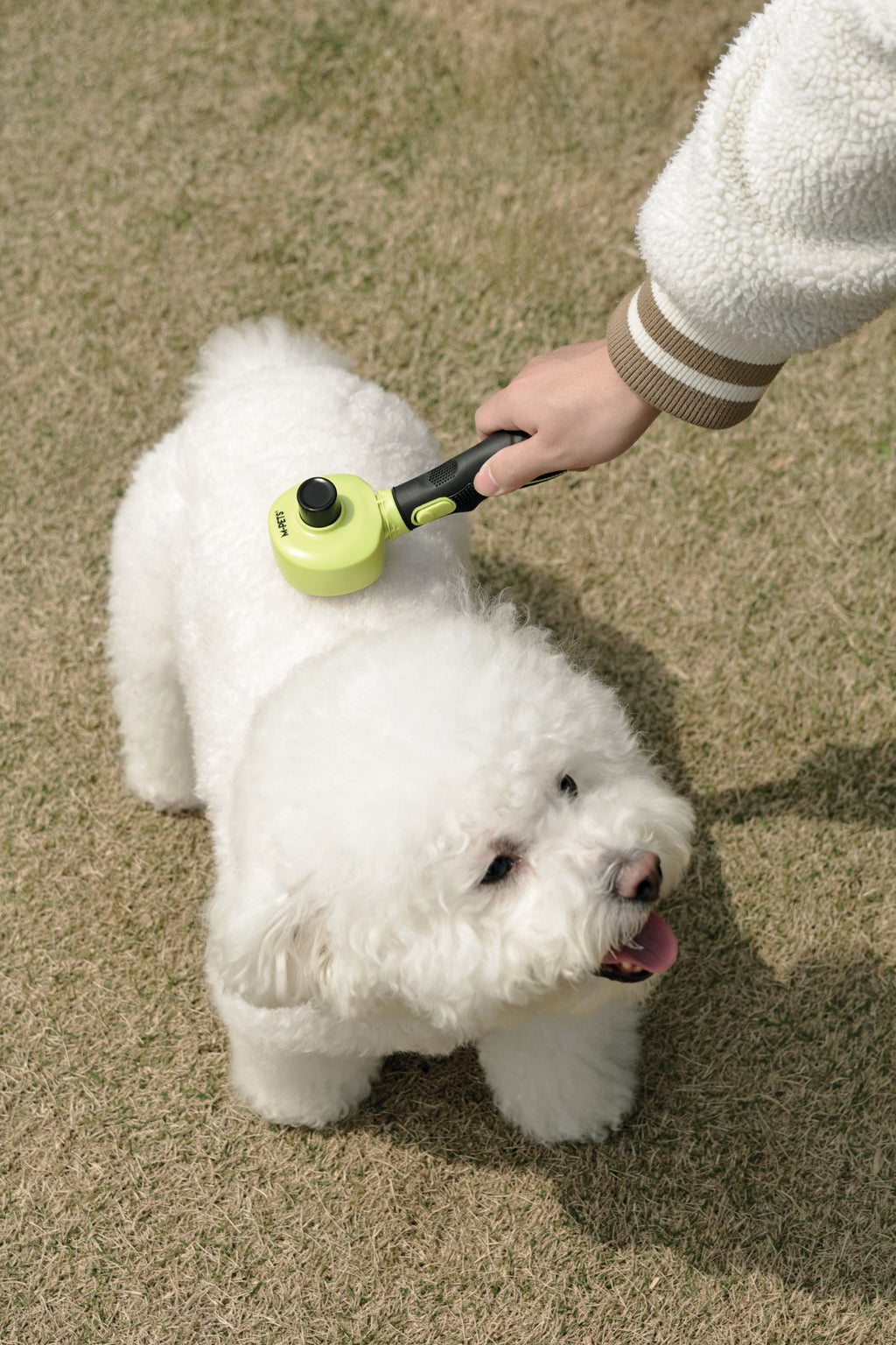 CLICK and GROOM 1-click Cleaning Pin