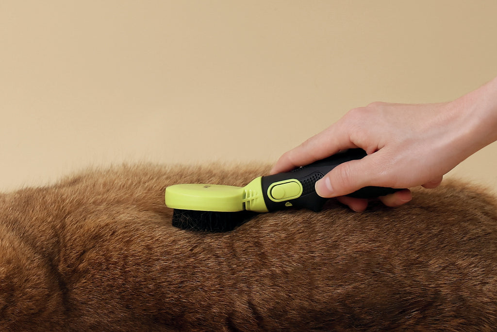 CLICK and GROOM Bristle Brush