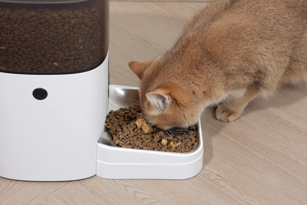 SMARTO M700 4L Automatic Food dispenser