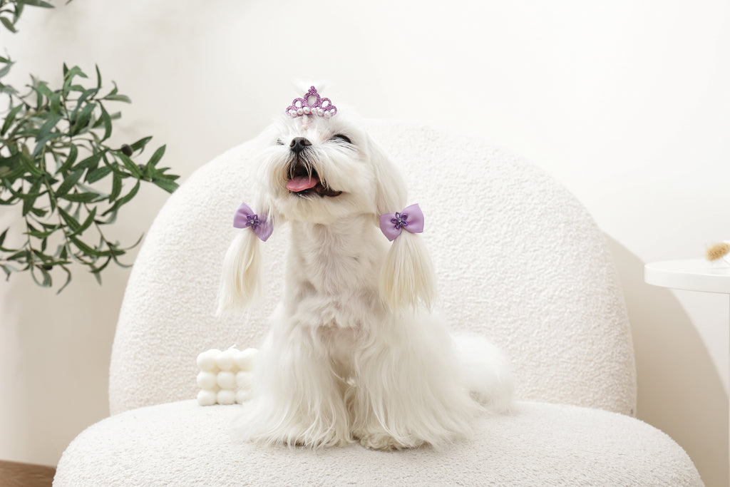 GLAM Hair Accessories for pets clip & rubber - Purple