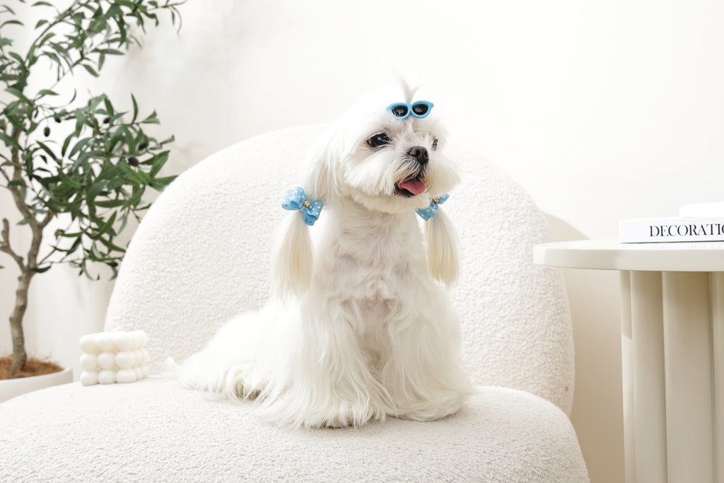 GLAM Hair Accessories for pets clip & rubber band - Blue