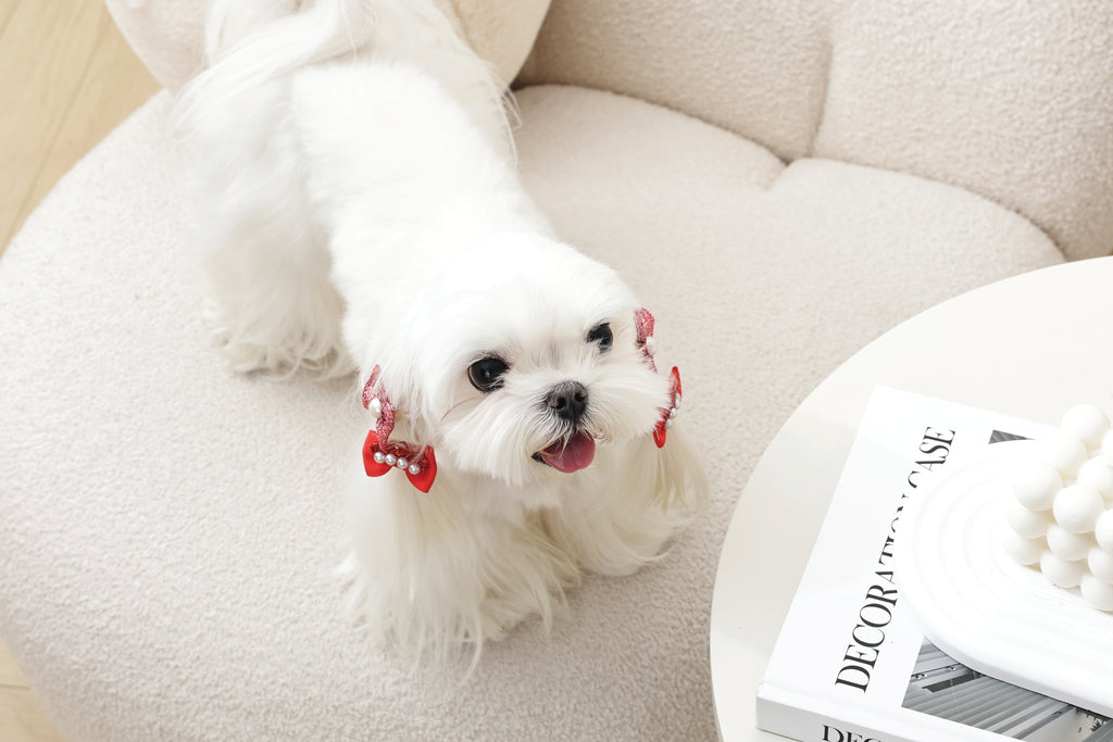 GLAM Hair Accessories for pets rubber band - Red