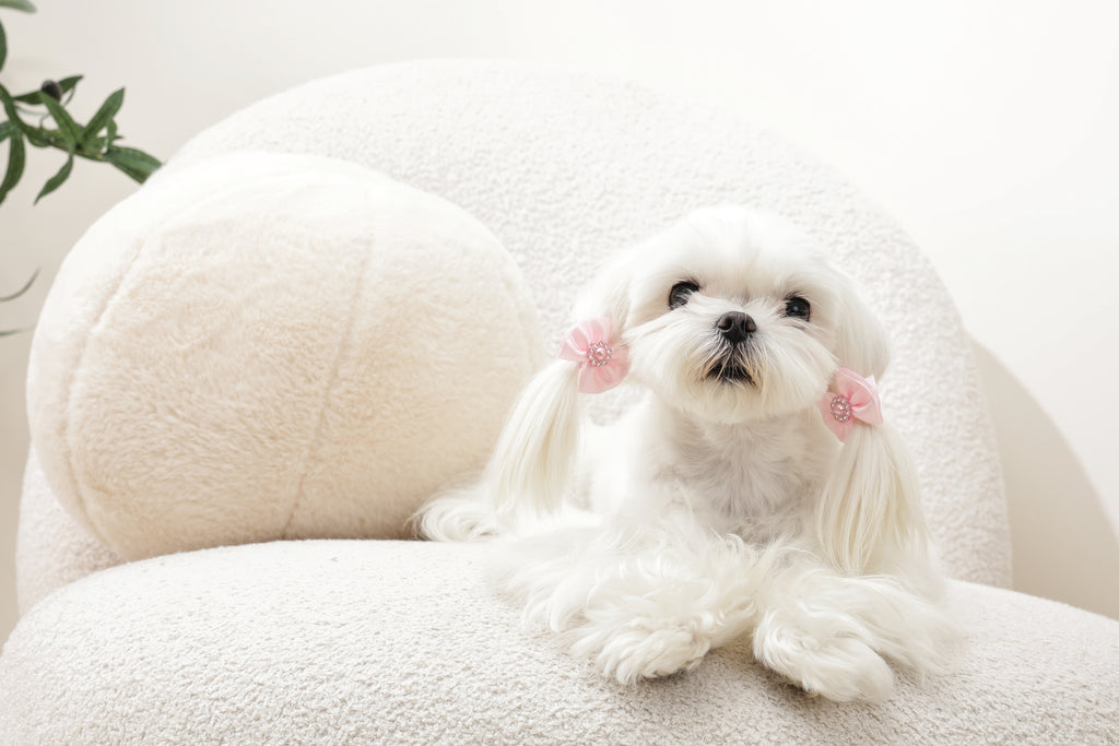 GLAM Hair Accessories for pets rubber band with pearl - Pink