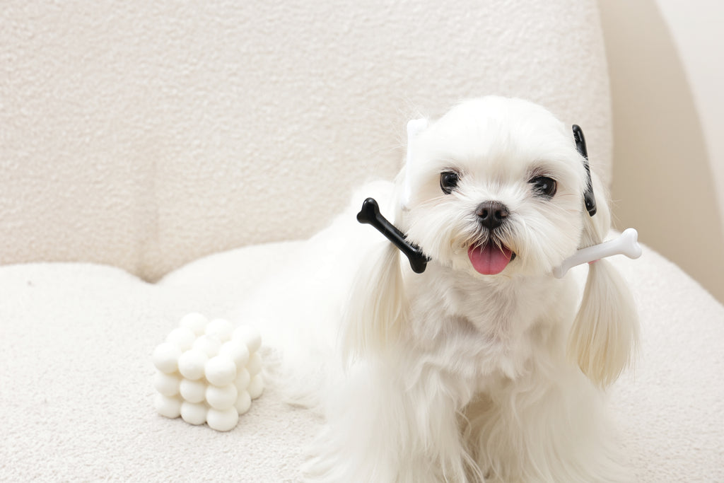 GLAM Hair Accessories for pets bone shape clip - Black &White