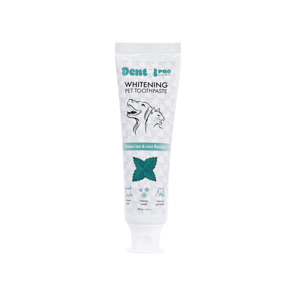 DENTAL CARE PRO WHITENING toothpaste Green tea&mint