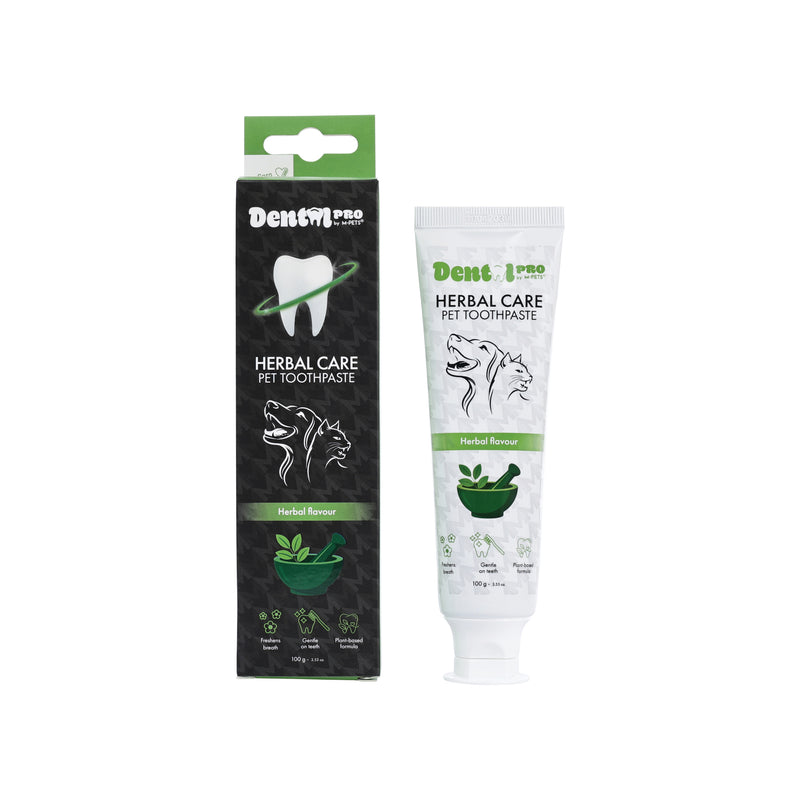 DENTAL CARE PRO Herbal care toothpaste HERBAL