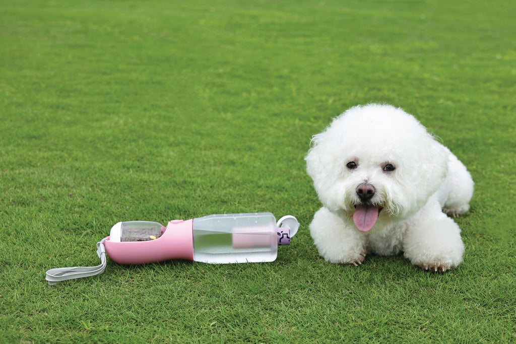 ON THE ROAD Dog water bottle 600 ml - 3 in 1 - Pink bloom