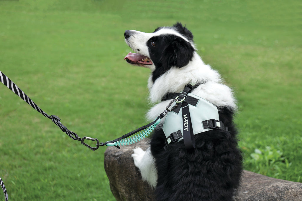ORIGAMI Dog Harness leafy crease