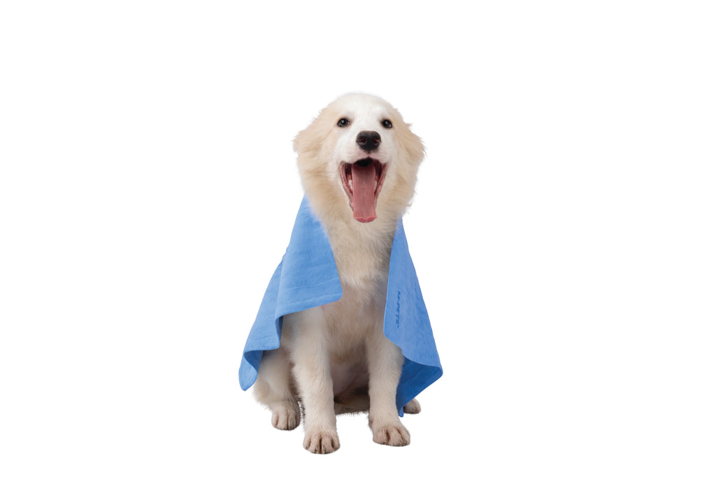 BATHTIME Quick-dry Towel for Cats and Dogs Blue Bubble