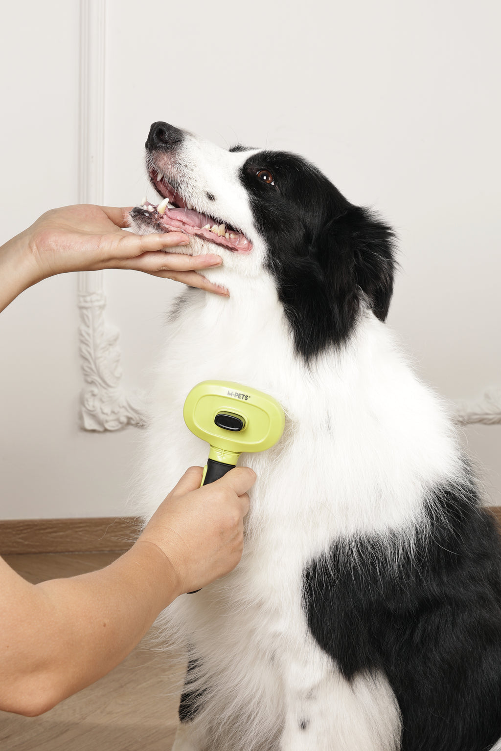 CLICK and GROOM 1-click Cleaning Pin