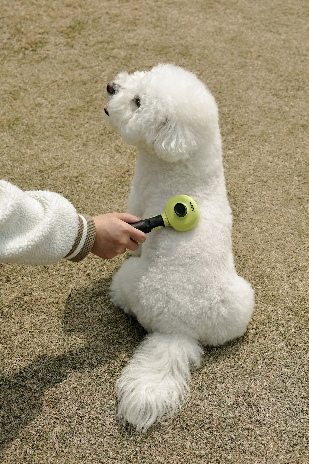 CLICK and GROOM 1-click Cleaning Pin