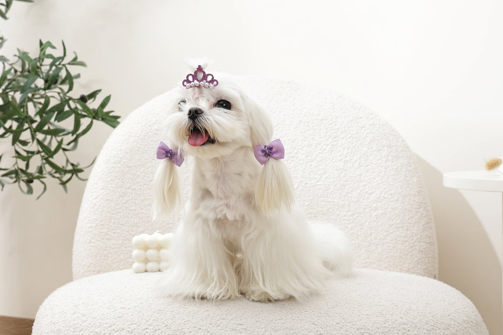 GLAM Hair Accessories for pets clip & rubber - Purple