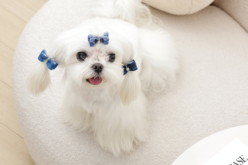 GLAM Hair Accessories for pets rubber band - Blue