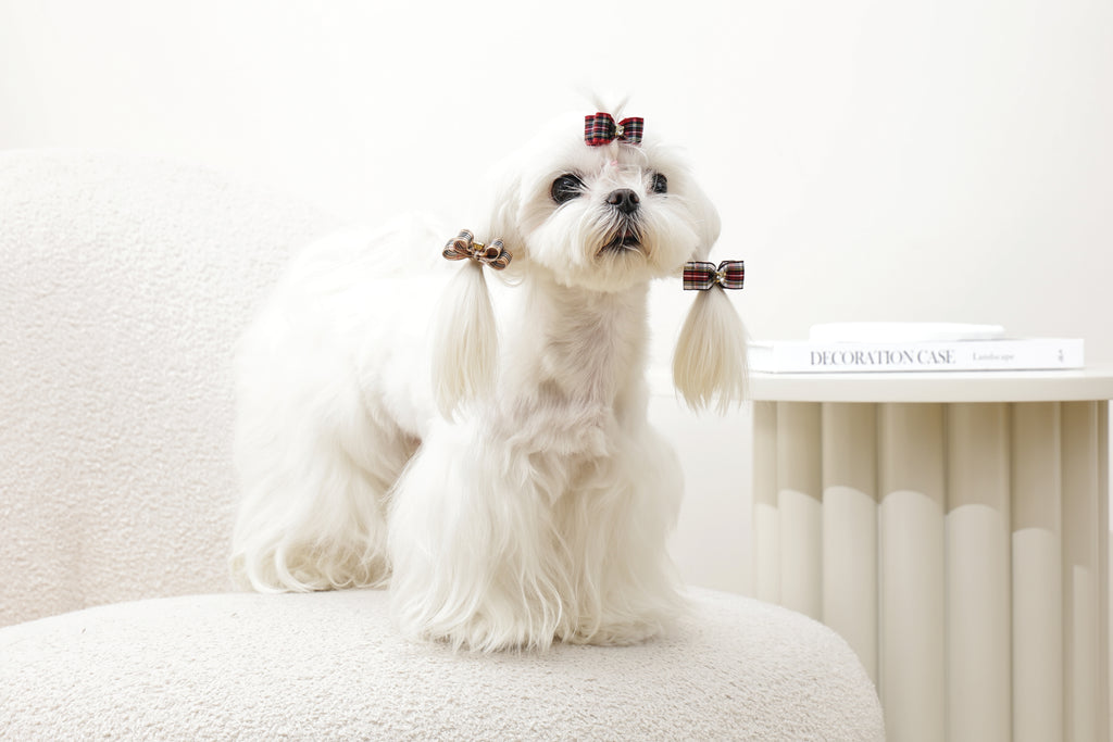 GLAM Hair Accessories for pets clip & rubber - Red