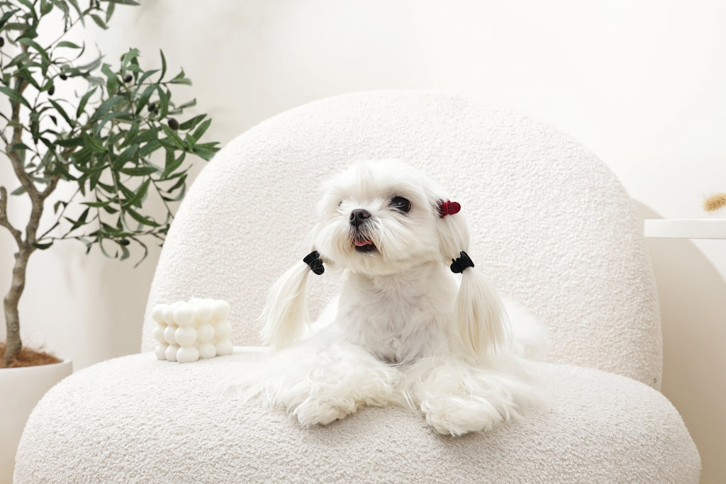 GLAM Hair Accessories for pets heart shape clip - Black & Red