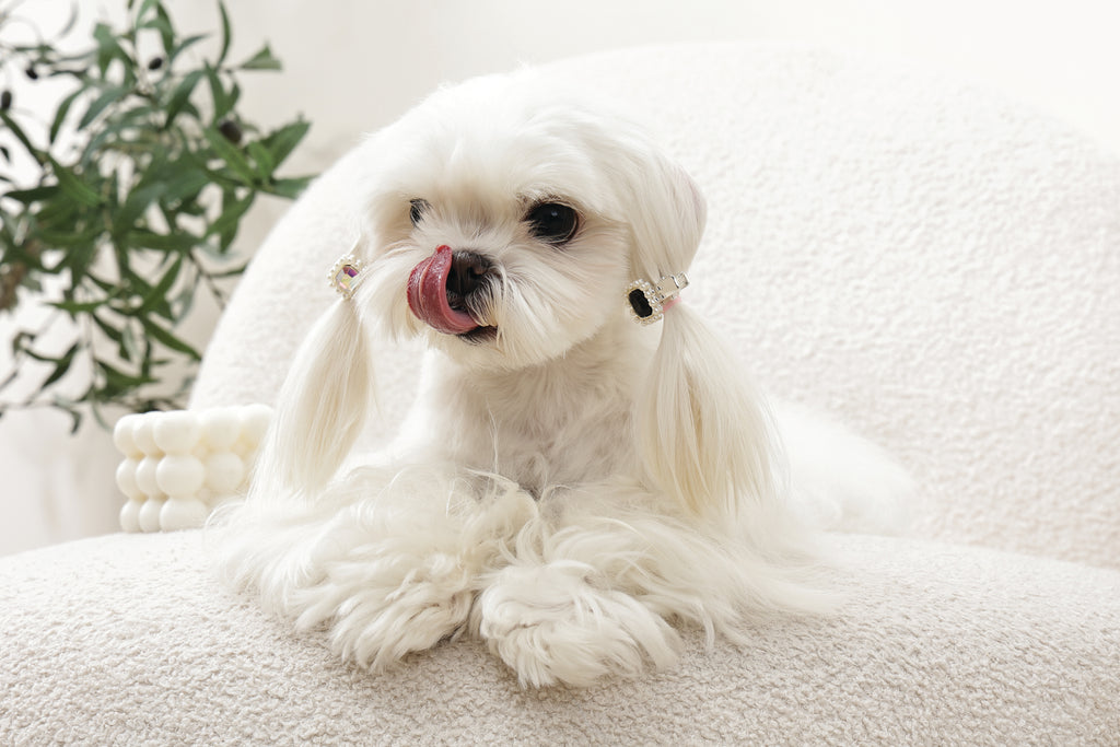 GLAM Hair Accessories for pets diamond shape clip - Black & Silver