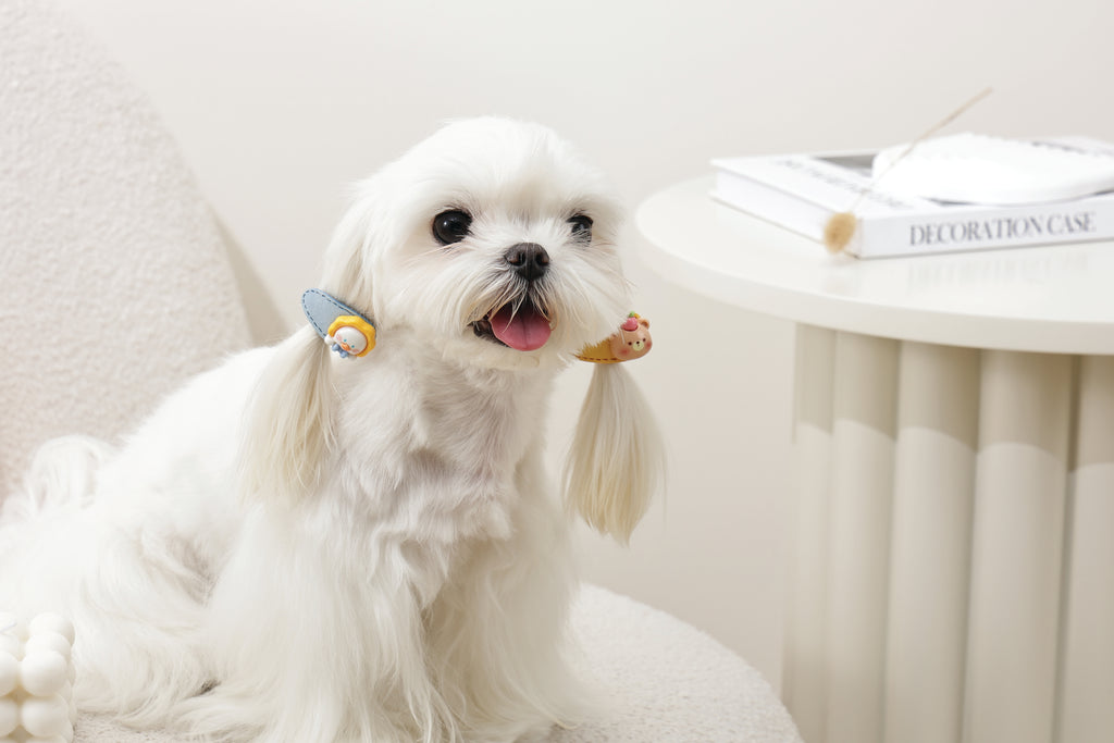GLAM Hair Accessories for pets clip - Yellow