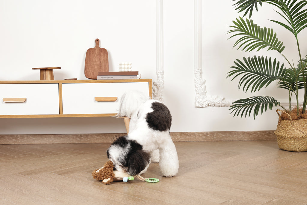 Slippers Dog toy Monkey