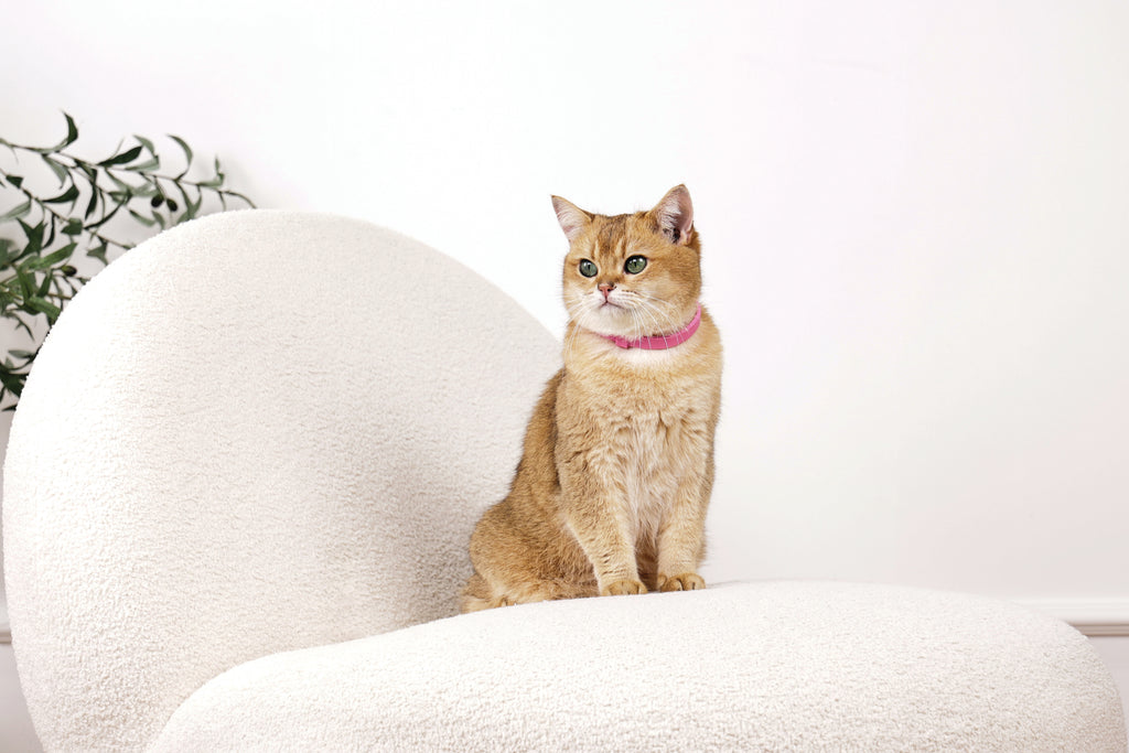 KEEP CALM - Calming pheromone collar set for cats 4 pcs