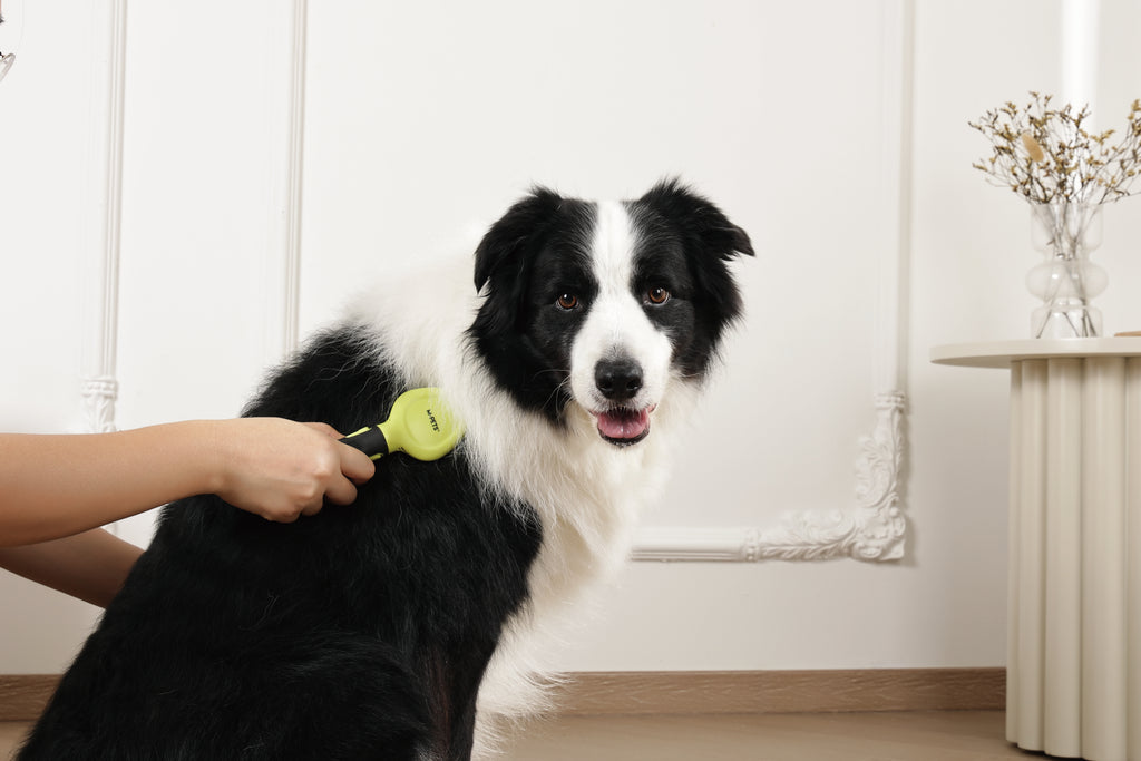 CLICK and GROOM Slicker Brush