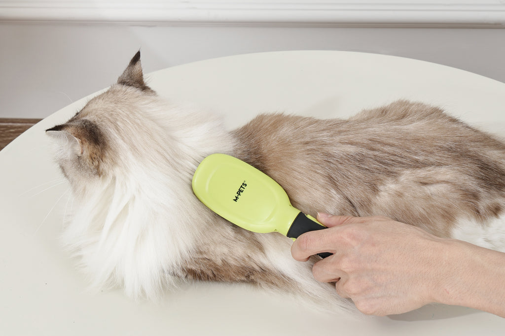 CLICK and GROOM Pin Brush