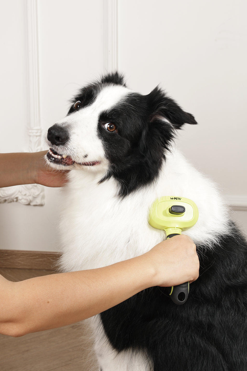 CLICK and GROOM 1-click Cleaning Pin