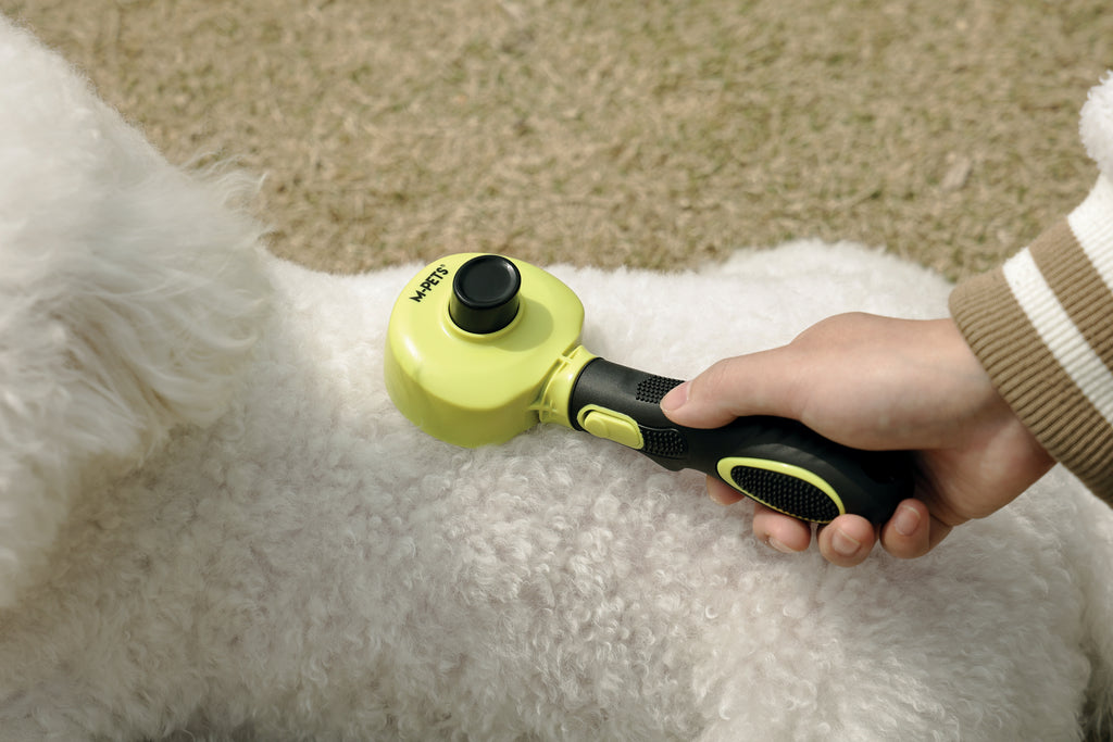 CLICK and GROOM 1-click Cleaning Pin
