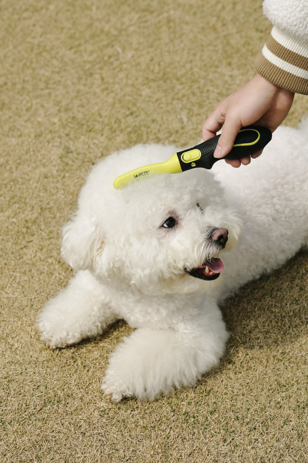 CLICK AND GROOM Curved brush