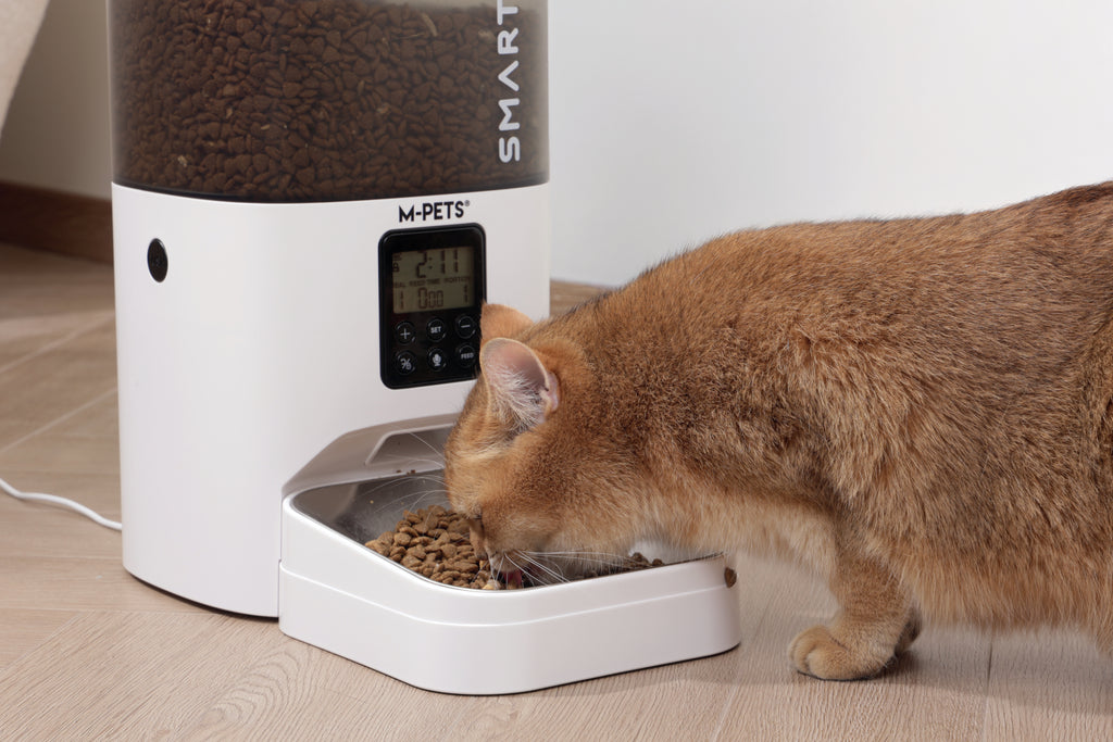 SMARTO M700 4L Automatic Food dispenser