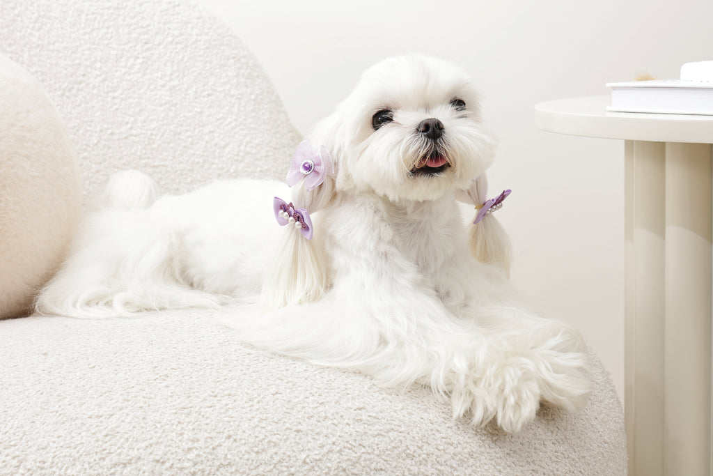 GLAM Hair Accessories for pets rubber band - Purple