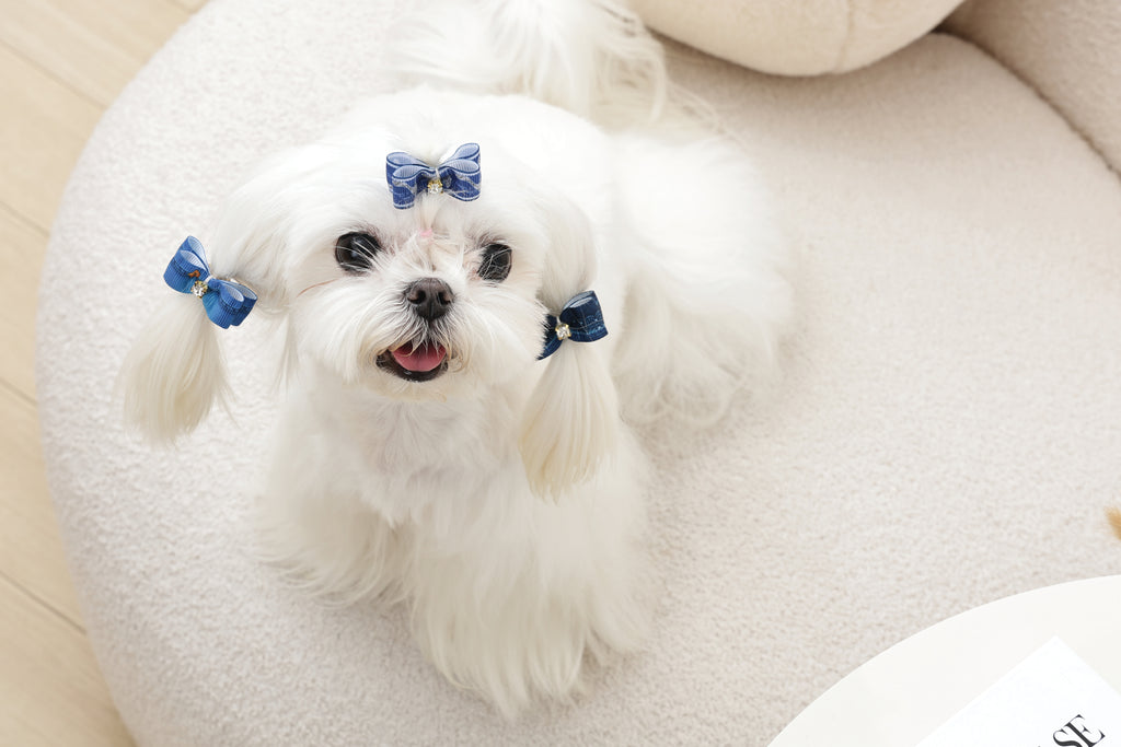GLAM Hair Accessories for pets rubber band - Blue