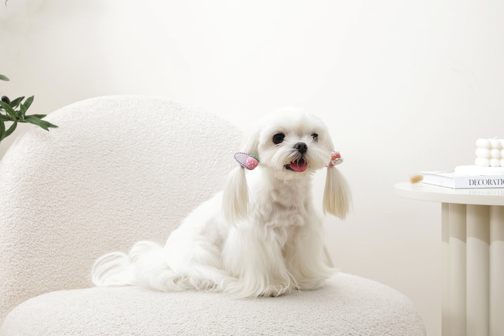 GLAM Hair Accessories for pets clip - Pink