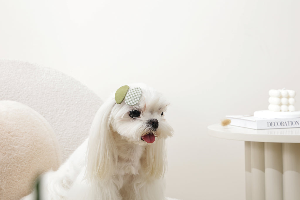 GLAM Hair Accessories for pets clip - Green