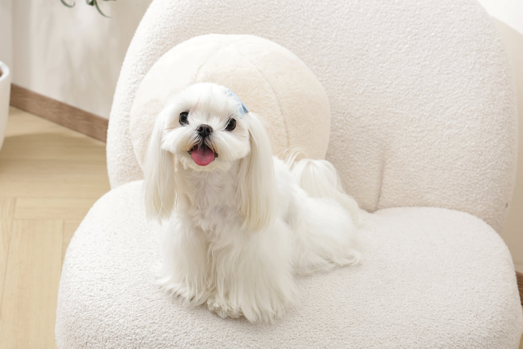 GLAM Hair Accessories for pets clip - Blue