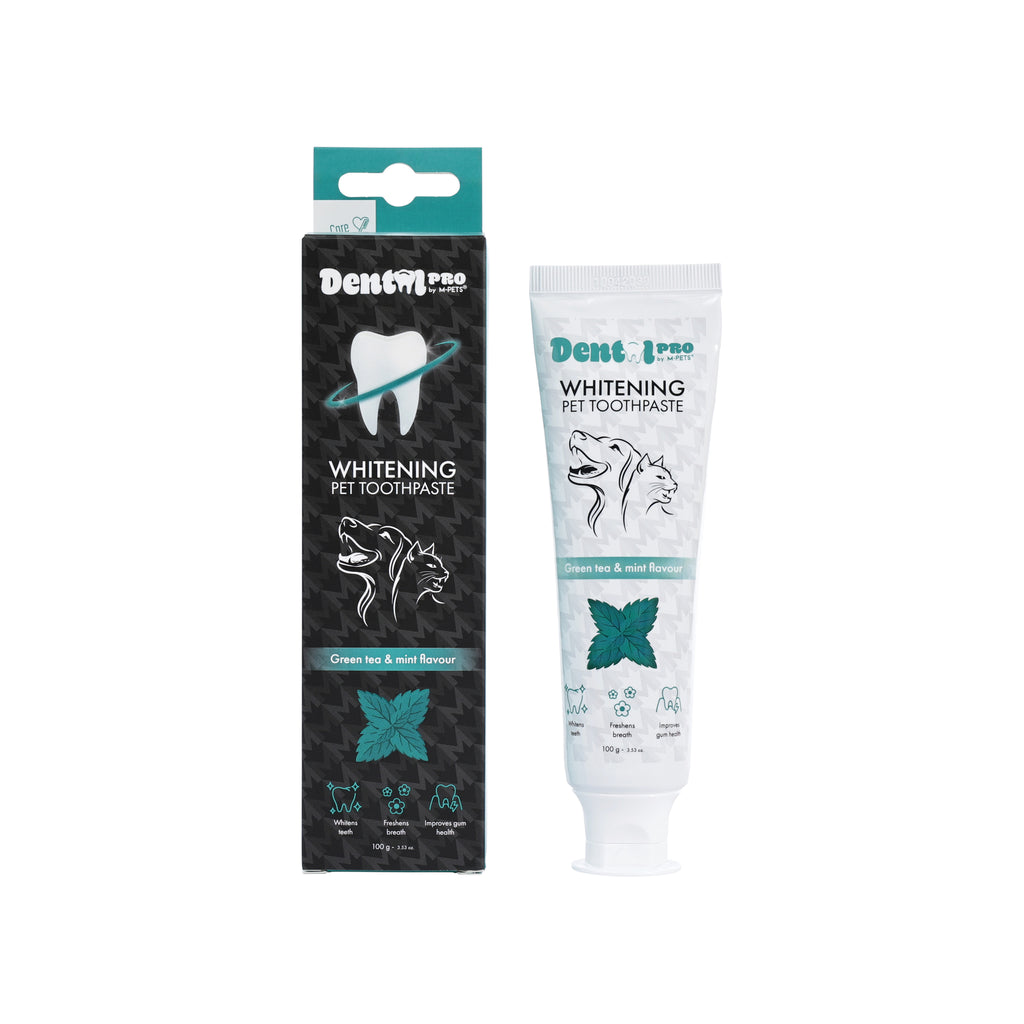 DENTAL CARE PRO WHITENING toothpaste Green tea&mint