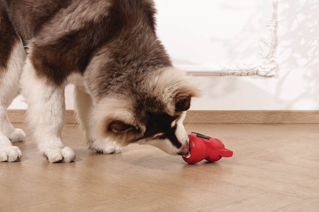 POWER CHEW Dog toy Ruby