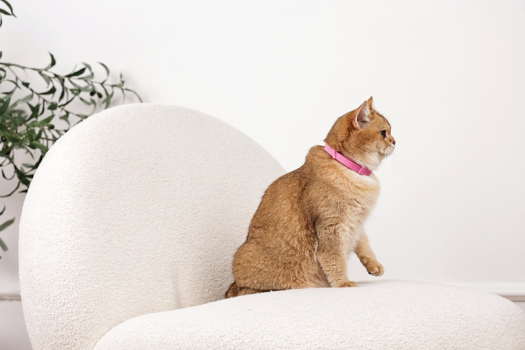 KEEP CALM - Calming pheromone collar set for cats 4 pcs