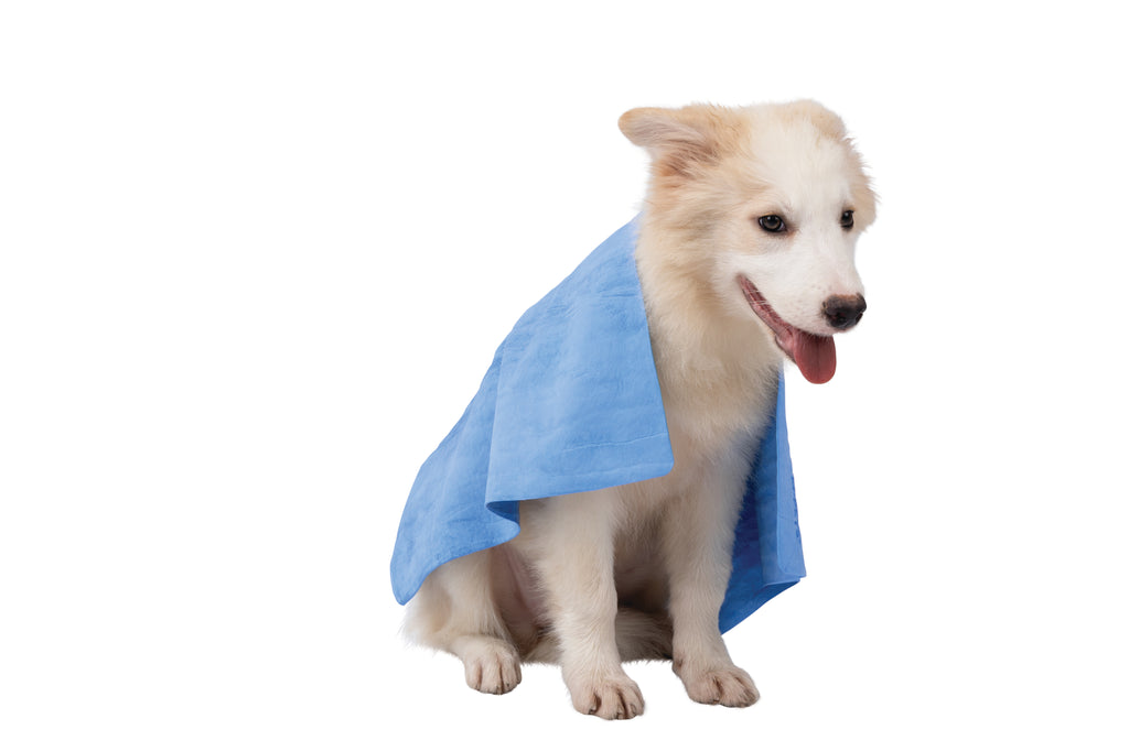 BATHTIME Quick-dry Towel for Cats and Dogs Blue Bubble