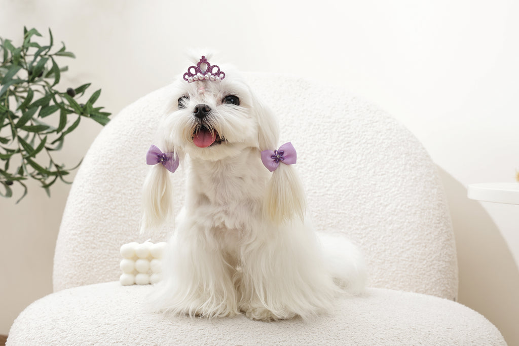 GLAM Hair Accessories for pets clip & rubber - Purple