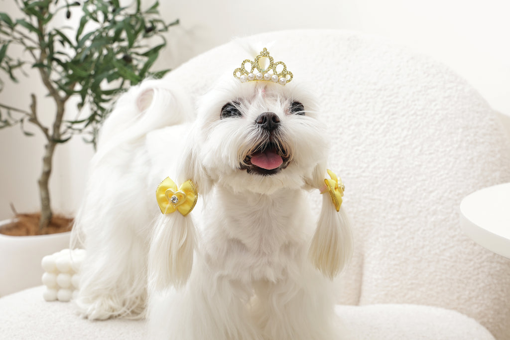 GLAM Hair Accessories for pets clip & rubber band - Yellow