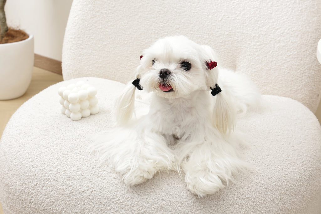 GLAM Hair Accessories for pets heart shape clip - Black & Red