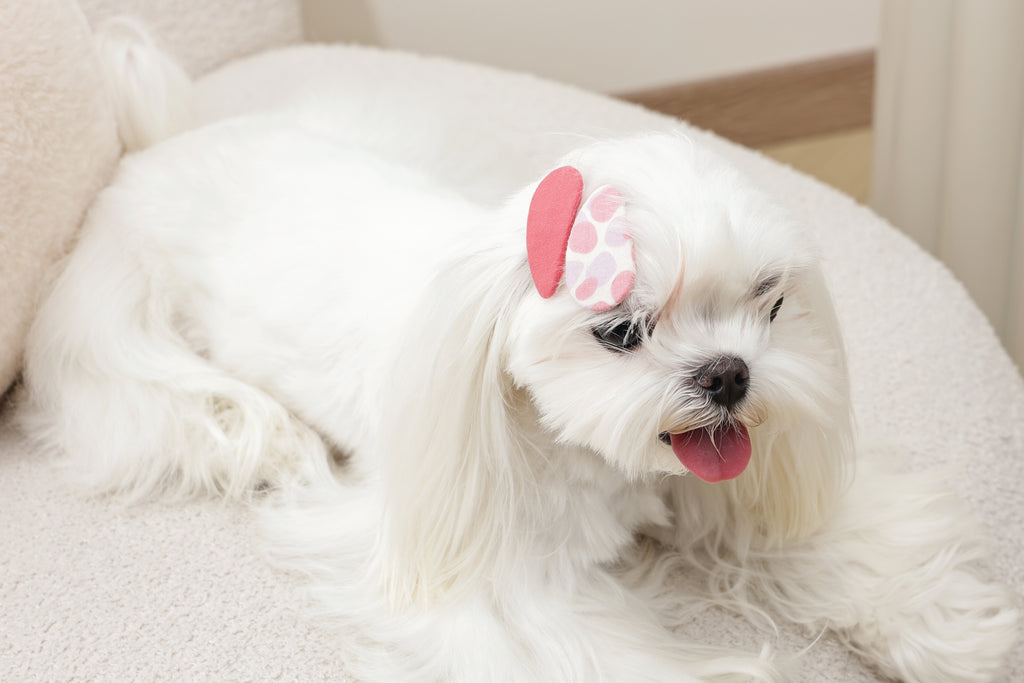 GLAM Hair Accessories for pets clip - Red